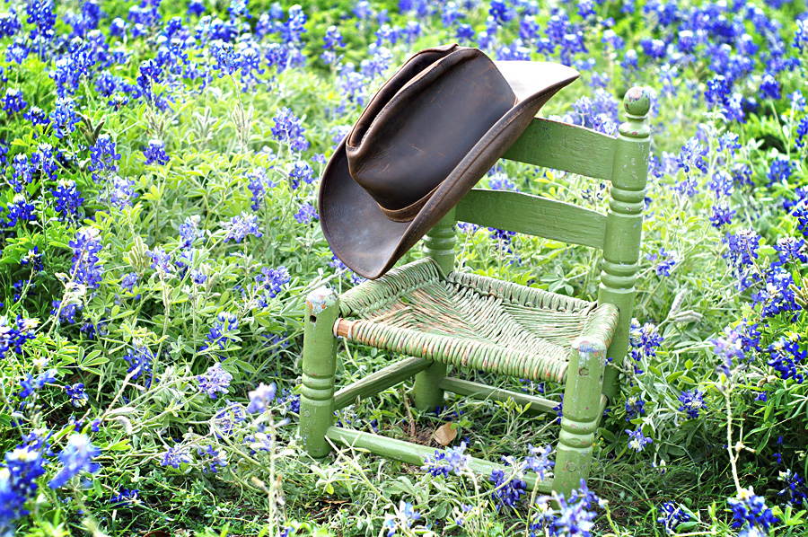 DawnFryPhoto Spring Bluebonnet Sessions