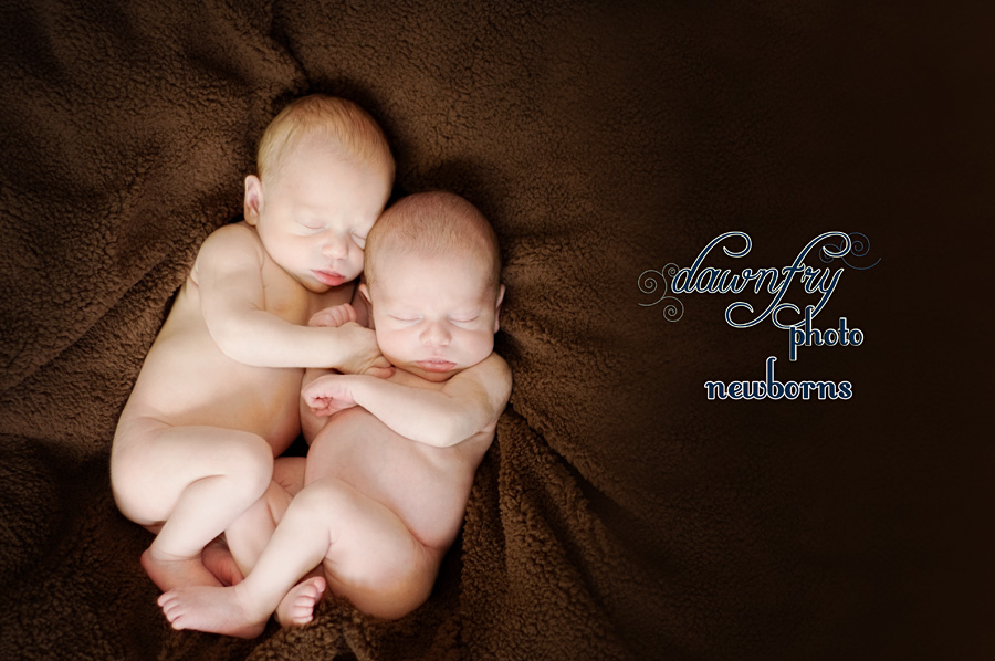 newborn twins, multiples, dawn fry photo newborns