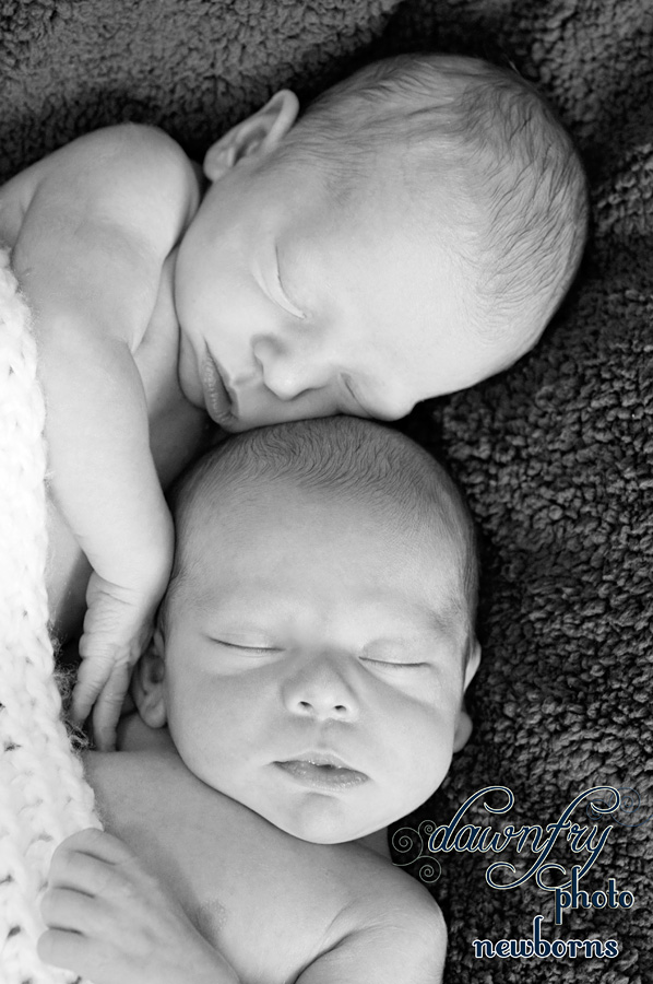 multiples newborn photo session, dawn fry photo