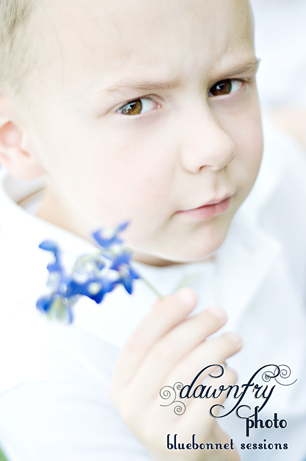 Austin Bluebonnet Photo Sessions