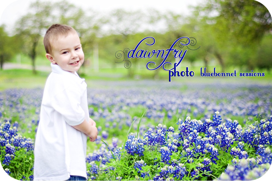 bluebonnet sessions in Austin