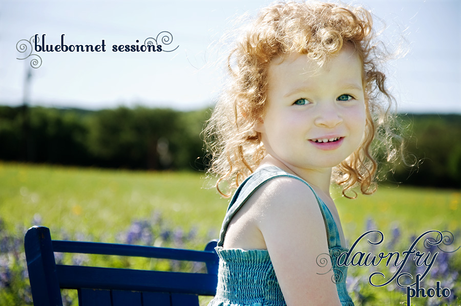 bluebonnet mini sessions, Dawn Fry Photo