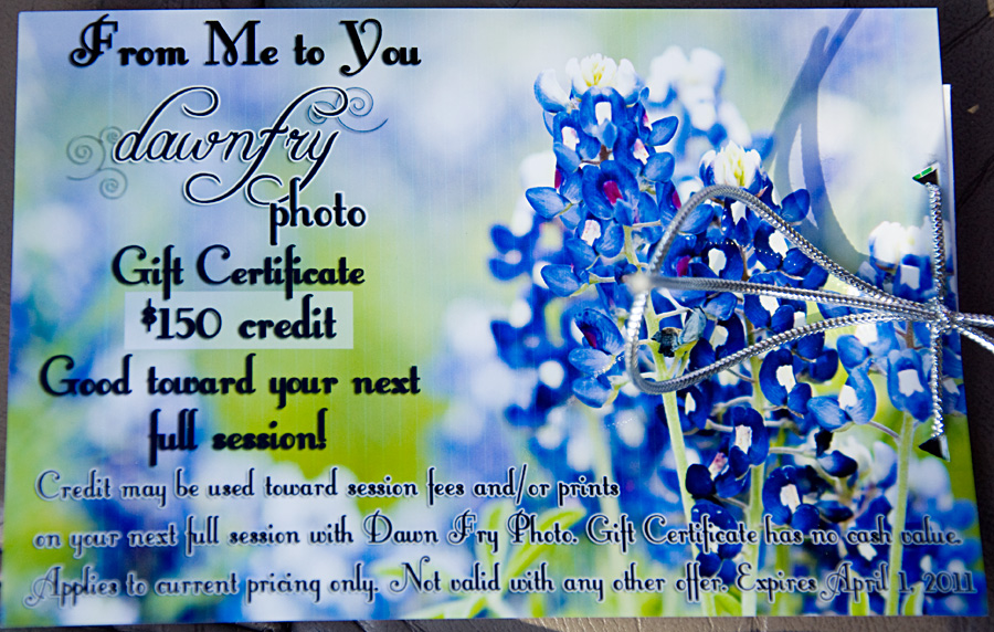 DFP Gift Certificate, Mini Session Gifts, Dawn Fry Photo