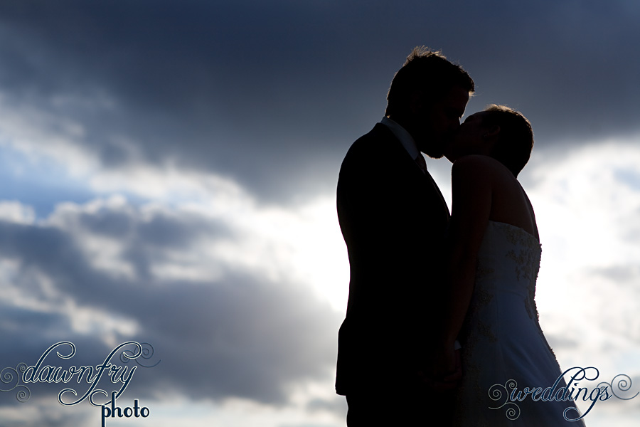 silhouette bridal portrait wedding photos