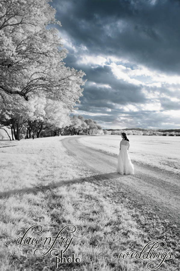 infrared wedding images, dawn fry photo weddings