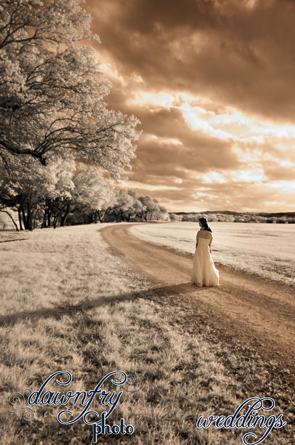 infrared wedding photography, dawn fry photo