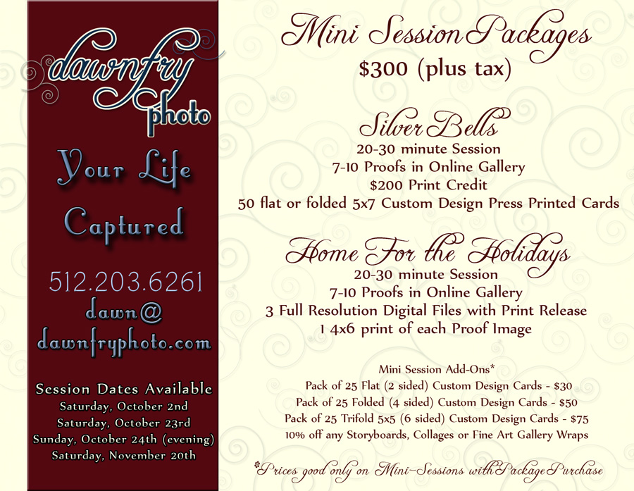 2010Holiday Mini Session Packages, Dawn Fry Photo