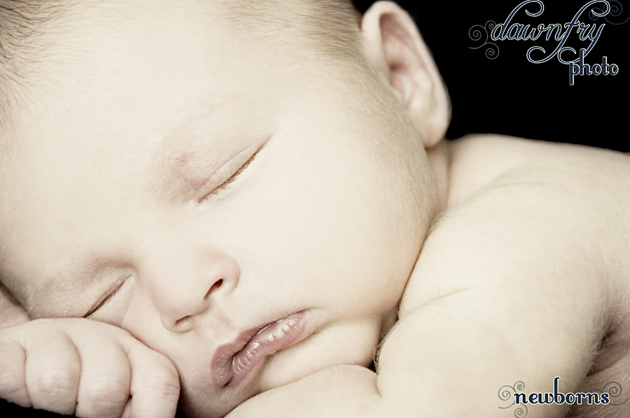 Dawn Fry Photo, Newborn Photography