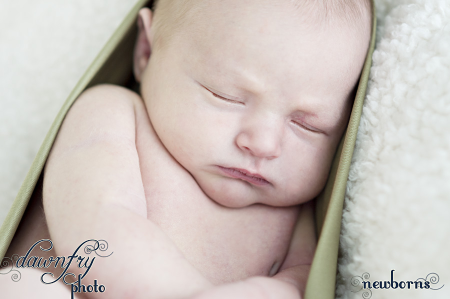 Sleeping Newborn, Austin Newborn Photography