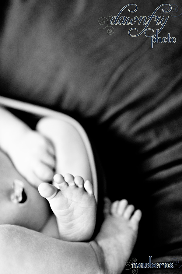 Baby Feet, Dawn Fry Photo