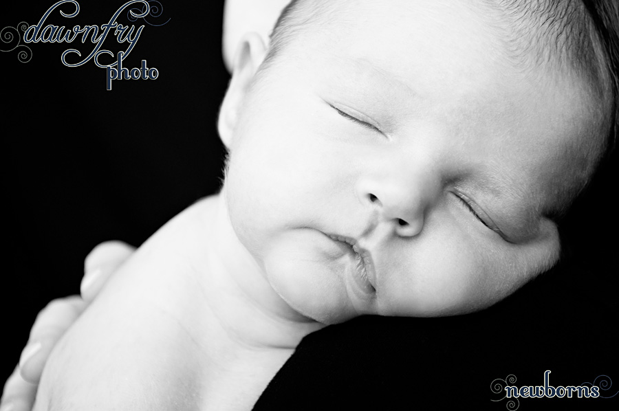 Dawn Fry Photo, Austin Newborn Photography