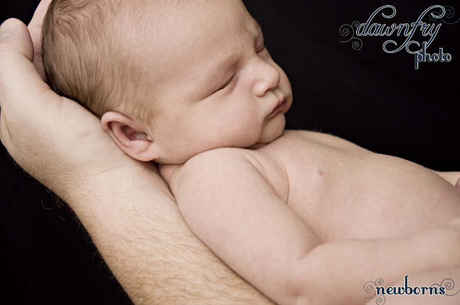 Beautiful Newborn Images, Dawn Fry Photo, Austin