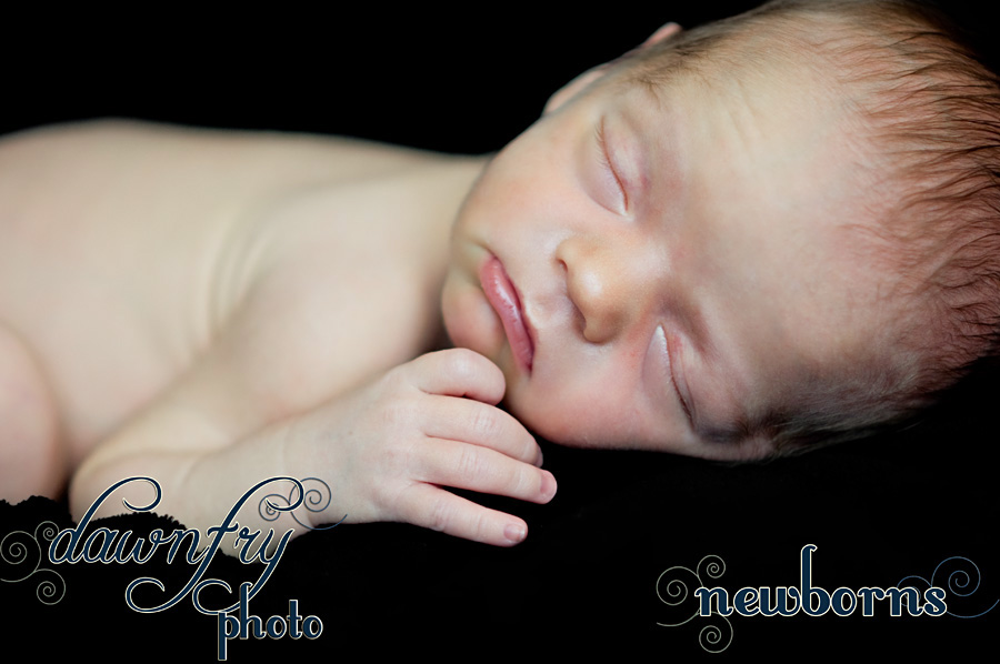 professional newborn photography