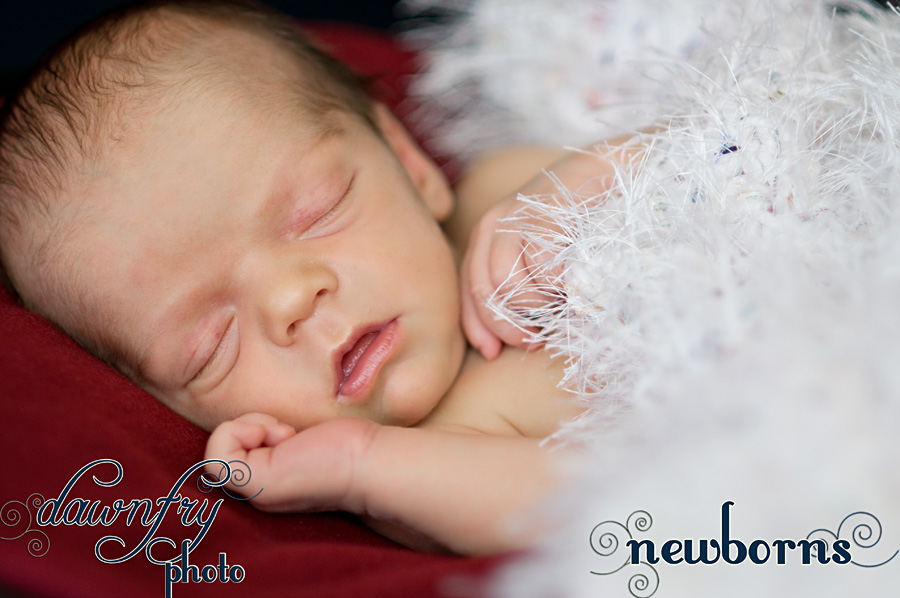 newborn baby photo